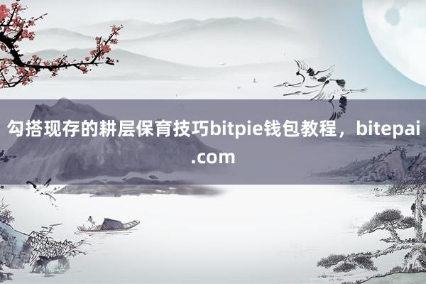 勾搭现存的耕层保育技巧bitpie钱包教程，bitepai.com