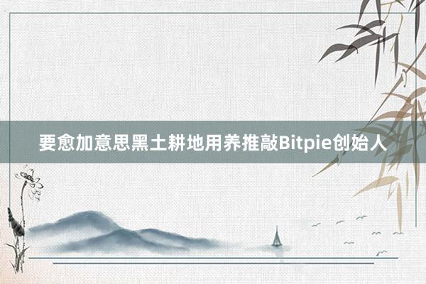 要愈加意思黑土耕地用养推敲Bitpie创始人