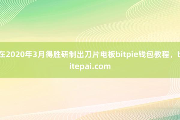 在2020年3月得胜研制出刀片电板bitpie钱包教程，bitepai.com