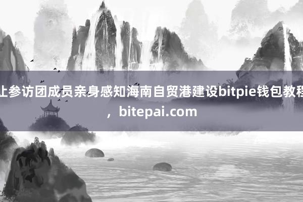 让参访团成员亲身感知海南自贸港建设bitpie钱包教程，bitepai.com