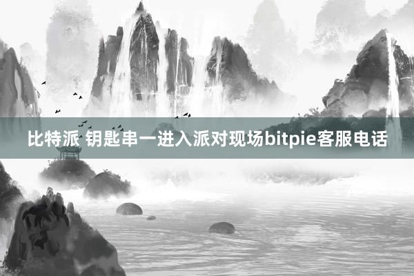 比特派 钥匙串一进入派对现场bitpie客服电话