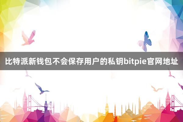 比特派新钱包不会保存用户的私钥bitpie官网地址