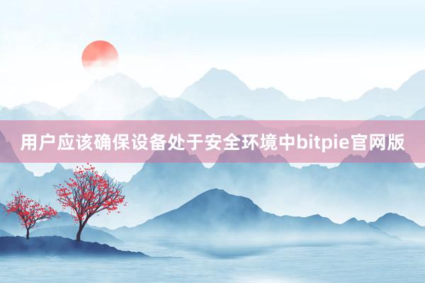 用户应该确保设备处于安全环境中bitpie官网版