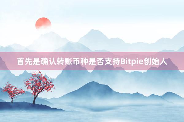 首先是确认转账币种是否支持Bitpie创始人