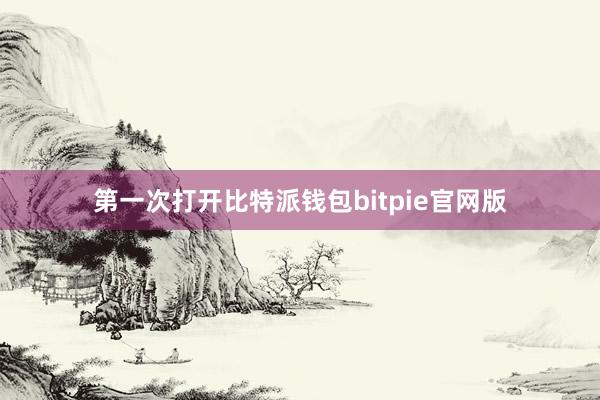 第一次打开比特派钱包bitpie官网版