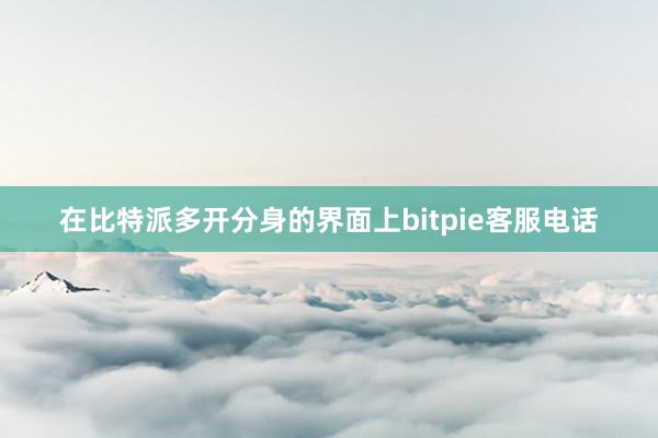 在比特派多开分身的界面上bitpie客服电话