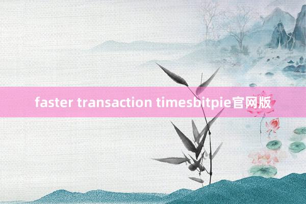 faster transaction timesbitpie官网版