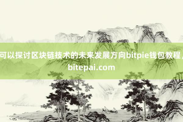 可以探讨区块链技术的未来发展方向bitpie钱包教程，bitepai.com