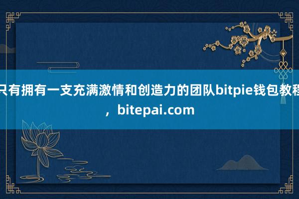 只有拥有一支充满激情和创造力的团队bitpie钱包教程，bitepai.com