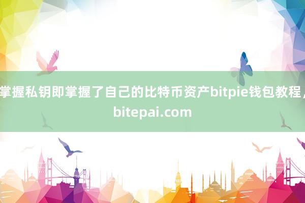 掌握私钥即掌握了自己的比特币资产bitpie钱包教程，bitepai.com