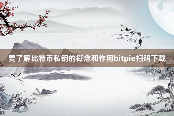 要了解比特币私钥的概念和作用bitpie扫码下载