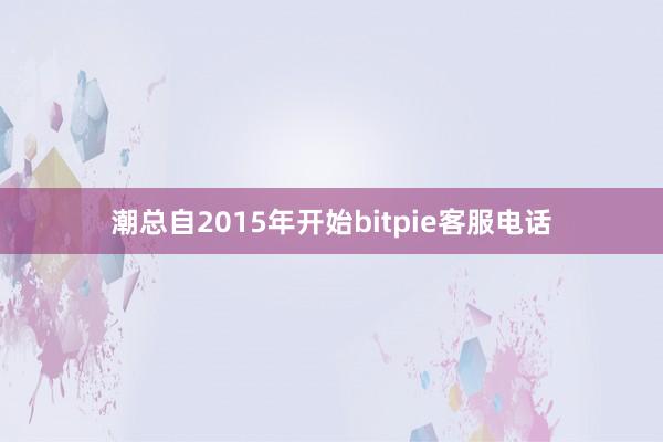 潮总自2015年开始bitpie客服电话