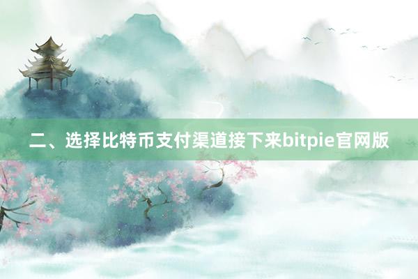 二、选择比特币支付渠道接下来bitpie官网版