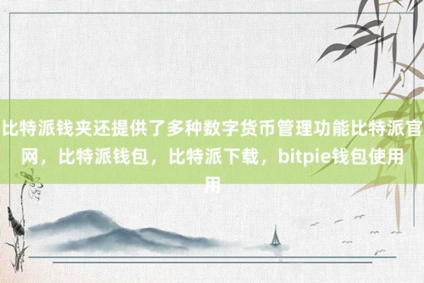 比特派钱夹还提供了多种数字货币管理功能比特派官网，比特派钱包，比特派下载，bitpie钱包使用