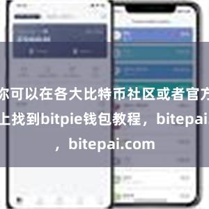 你可以在各大比特币社区或者官方网站上找到bitpie钱包教程，bitepai.com